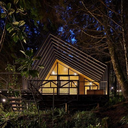 Oculto Refugio De Bosque Otel Envigado Dış mekan fotoğraf