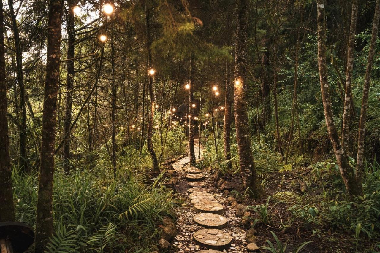 Oculto Refugio De Bosque Otel Envigado Dış mekan fotoğraf