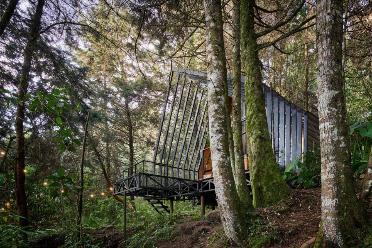 Oculto Refugio De Bosque Otel Envigado Dış mekan fotoğraf
