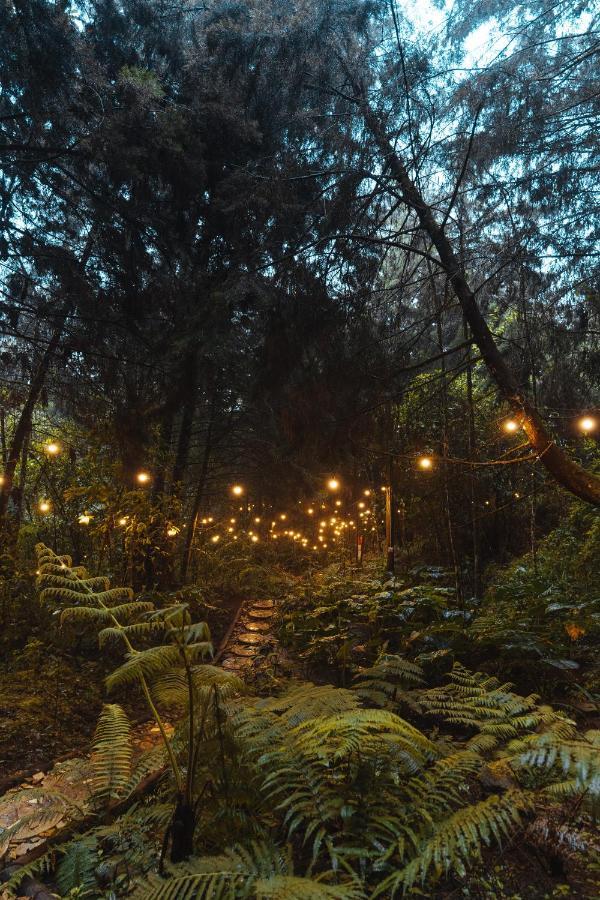 Oculto Refugio De Bosque Otel Envigado Dış mekan fotoğraf