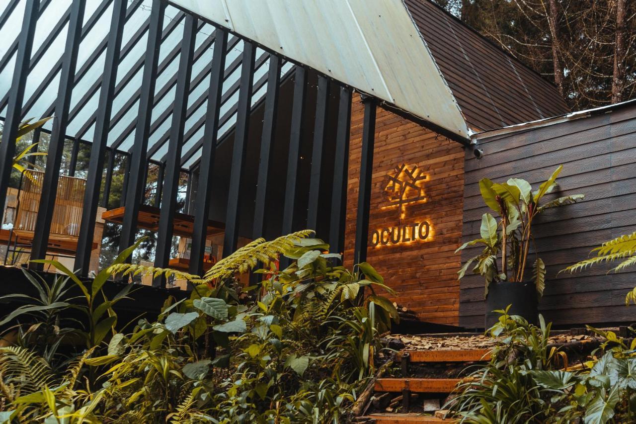Oculto Refugio De Bosque Otel Envigado Dış mekan fotoğraf