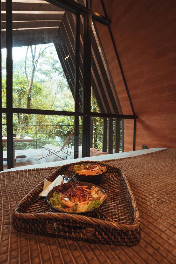 Oculto Refugio De Bosque Otel Envigado Dış mekan fotoğraf